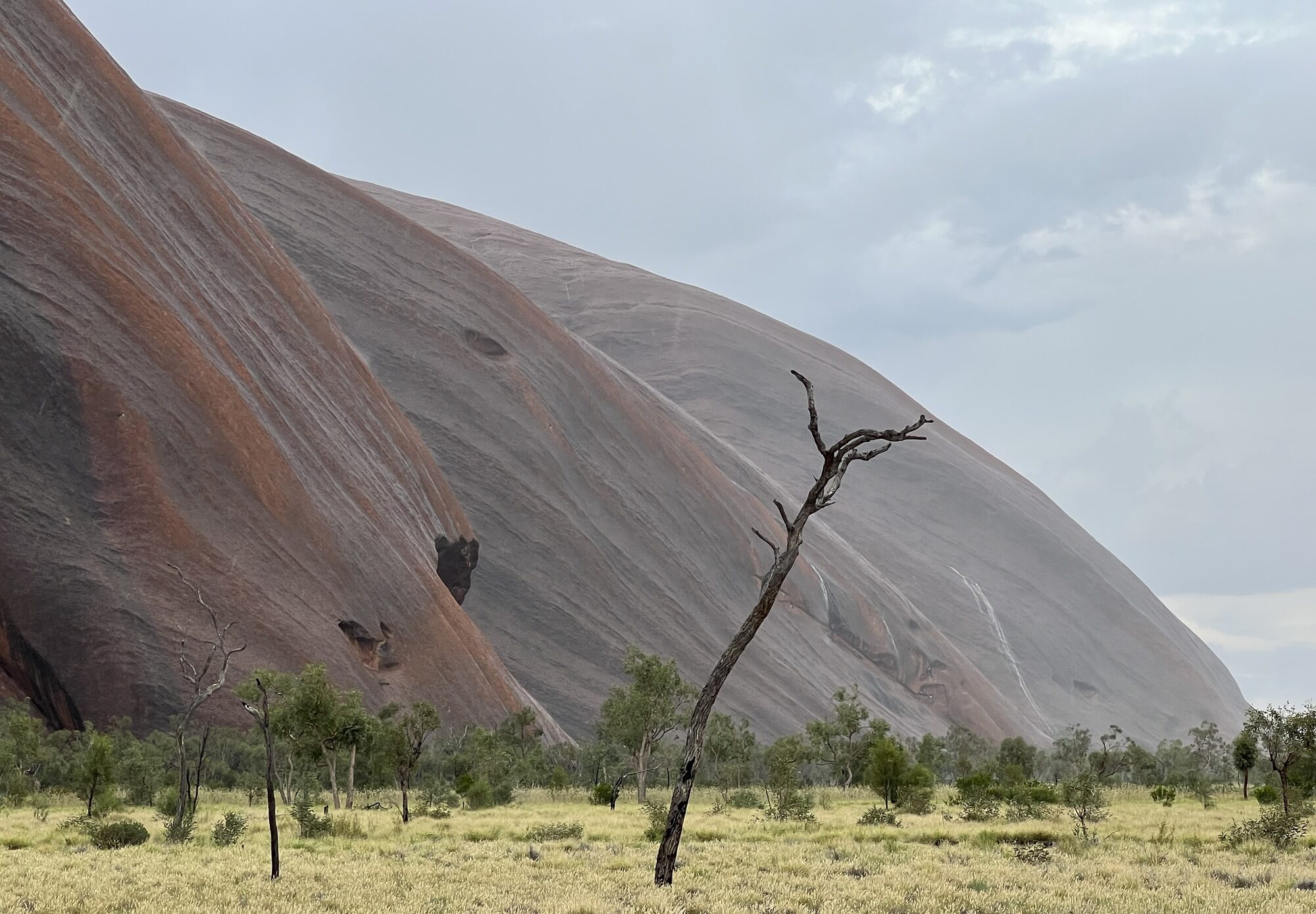 Uluru: Field of Light, Sunrise, Sacred Sites, Sunset and other stories